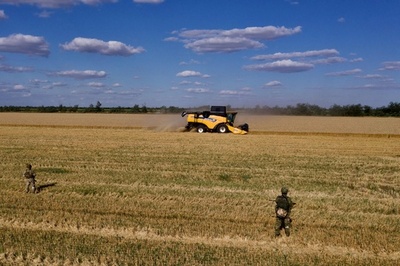 ウクライナ東部の農場、ロシアに穀物販売