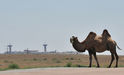ソユーズ打ち上げはまだ？ラクダも待ってます バイコヌール宇宙基地