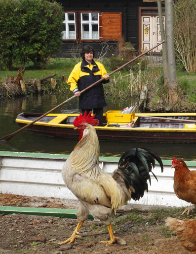 春の訪れ告げる郵便配達ボート、ドイツ