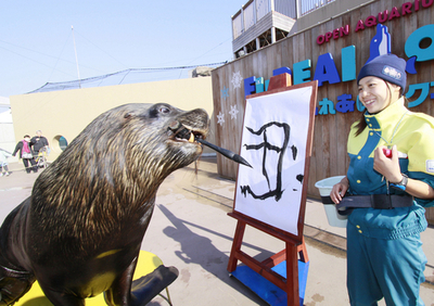 うまく書けるかな？オタリアのジャッキー 書き初めの特訓