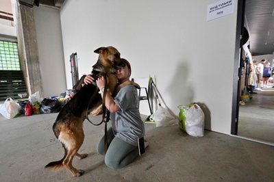 新たな飼い主の元へ ダム決壊で取り残された犬猫を保護 ウクライナ