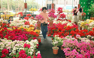 春節を翌日に控え花の準備も着々と - 台湾