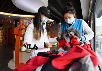 中国で広がるスマートペット用品市場 「豊かさ」と「寂しさ」の象徴