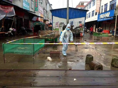 雲南省2県で鳥インフルエンザ検出