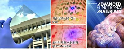 韓国KIST、網膜代替の透明電極を開発…「10年以内に人工の目が登場する可能性も」