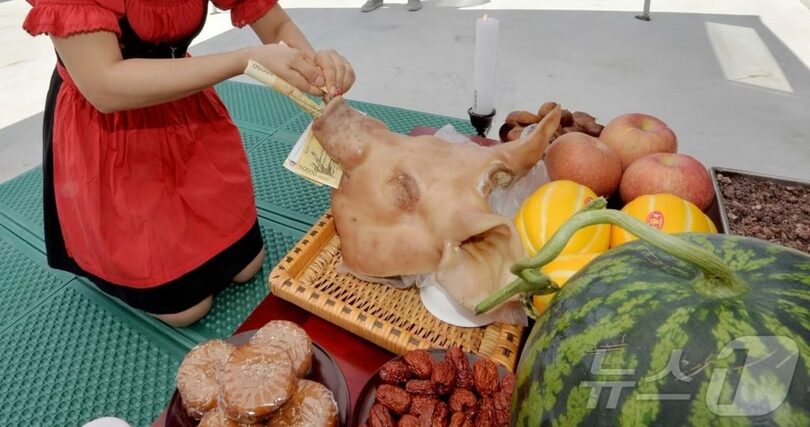 豚の頭部に現金を供える風習＝写真は記事の内容とは関係ありません(c)news1