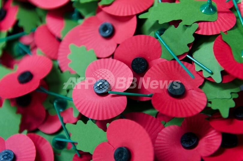 英戦死者を追悼する「赤いポピー」