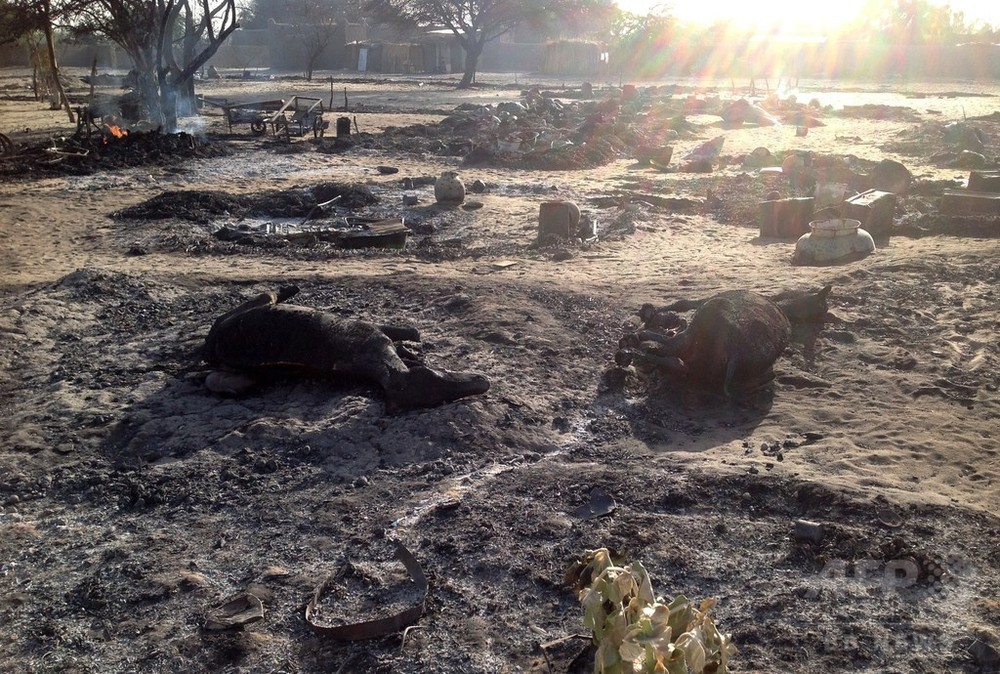 カメルーン軍、ボコ・ハラムの86人を殺害 1000人以上拘束 写真1枚 国際ニュース:AFPBB News