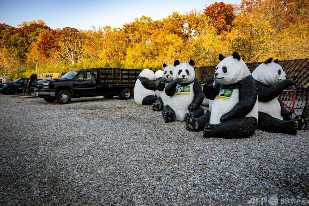 米首都動物園のパンダ3頭、もうすぐ中国返還 園内の像撤去 写真