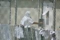 キューバのグアンタナモ（Guantanamo）米軍基地の収容所（2008年7月23日撮影）。(c)AFP/Randall Mikkelsen