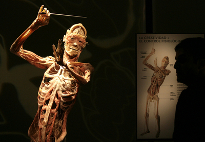 マドリードで本物の死体を使った人体標本展、開催