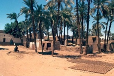 中国・エジプト合同考古学チーム　メンフィスのアジズ・デーリ遺跡で新発見