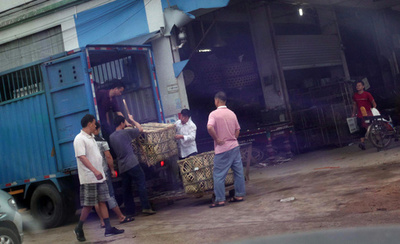 「食べたら実刑」でも公然と市場に並ぶ希少動物たち、中国