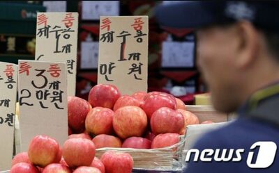 韓国のリンゴが危ない！…「気候変動・伝染病」襲撃