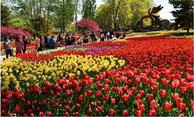 北京に国立植物園設立の計画始動