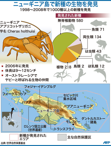 【図解】ニューギニア島で新種を発見