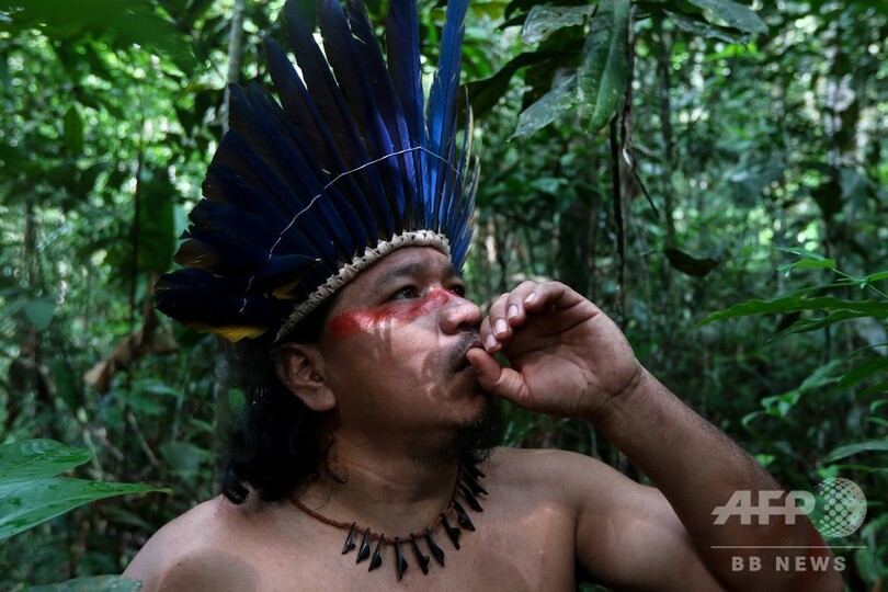 ブラジル・アマゾン先住民族、伝統の薬用植物でコロナと闘う