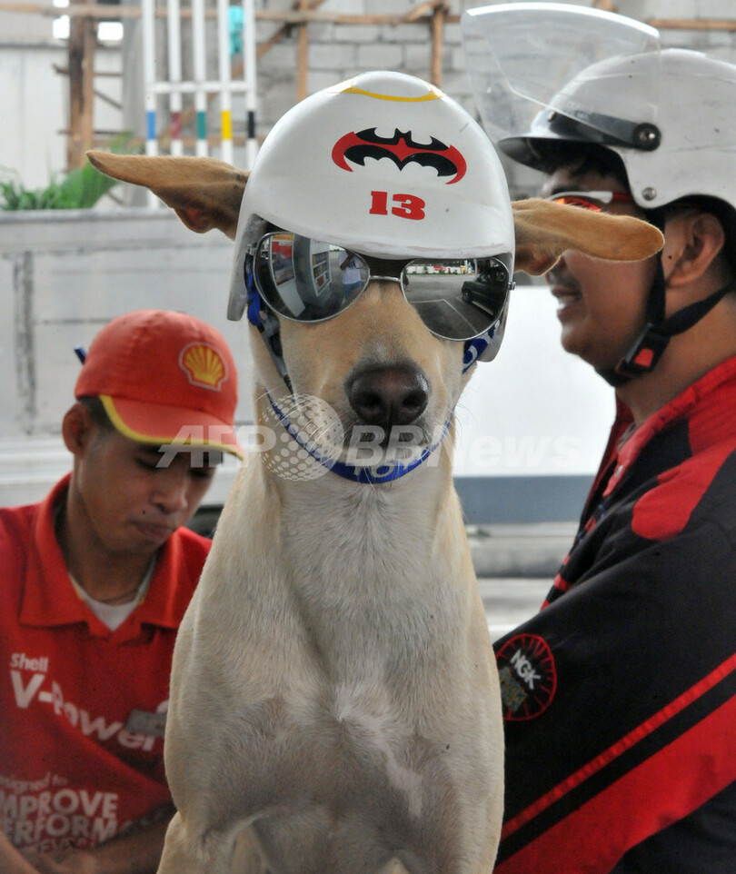 愛犬をバイクに乗せて通勤中？