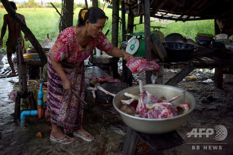 犬肉の取引を禁止、カンボジアの人気観光地シエムレアプ州