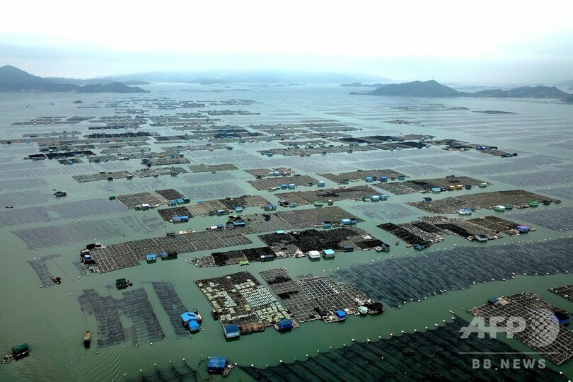 海の恵みもたらす「海上牧場」 福建・霞浦