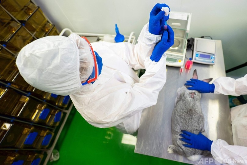 ロシア、「世界初」動物用コロナワクチンを認可