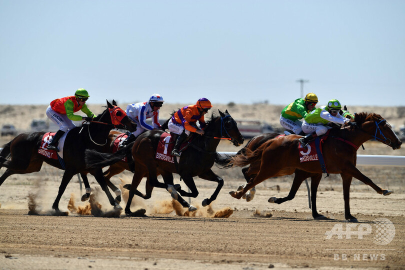 引退馬の「産業規模」食肉処理問題、豪当局が正式調査へ