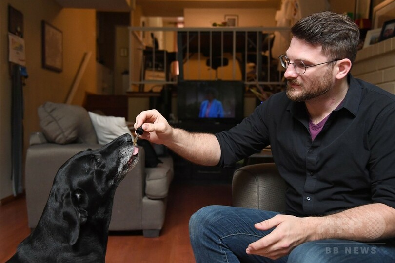 医療用大麻をペットに、法的にはグレーゾーンも 米国