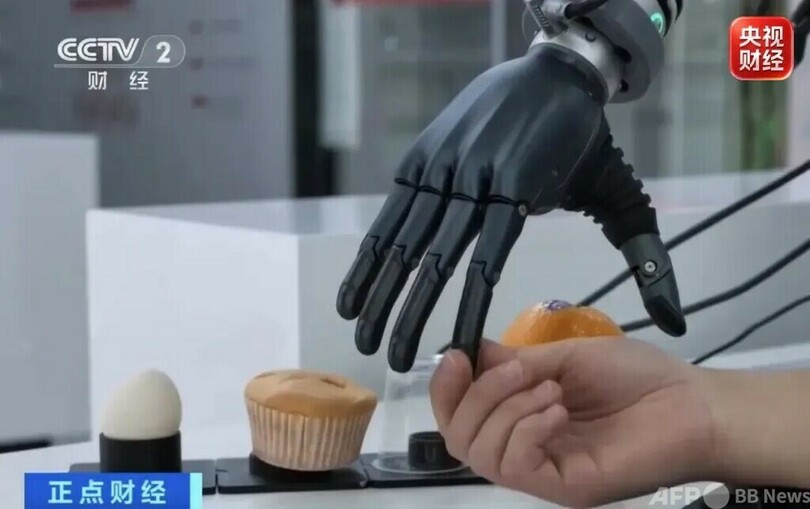 資金調達額が15倍増 高機能ロボットハンド市場が爆発的に拡大 中国