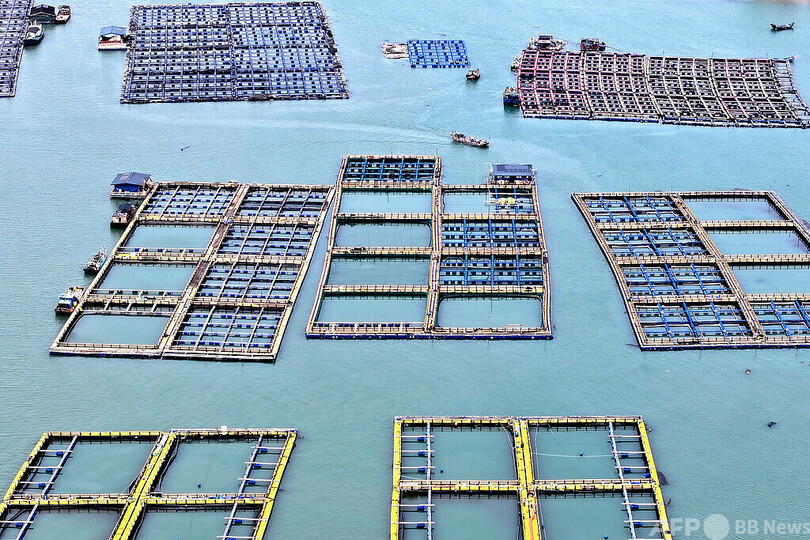 2024年の中国の海洋総生産額 初の10兆元突破