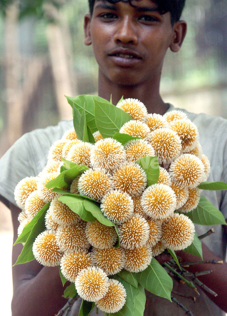 国連貿易開発会議、「最貧国こそ技術力を」