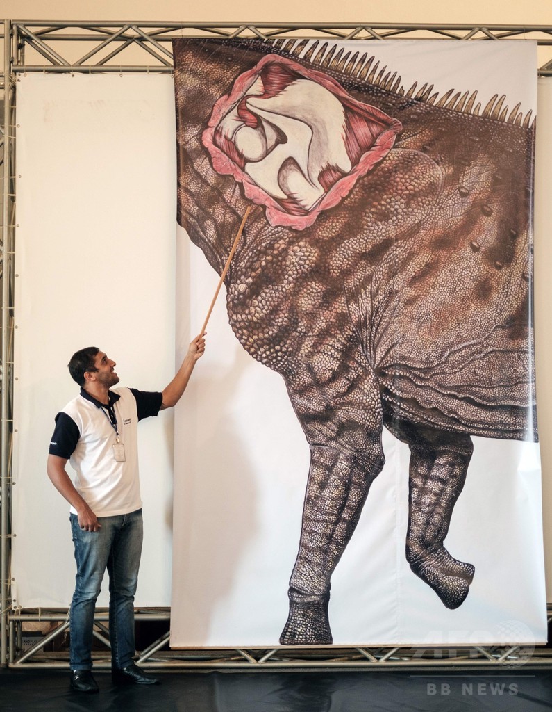 博物館に60年間保管の化石、ブラジル最大の恐竜と判明