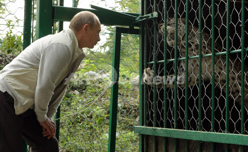 ヒョウをも黙らせる威圧感！？プーチン首相ソチの国立公園を視察