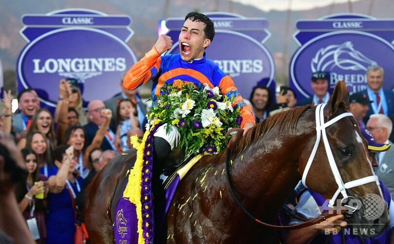 ブリーダーズカップで予後不良、事故多発の競馬場でまた悲劇