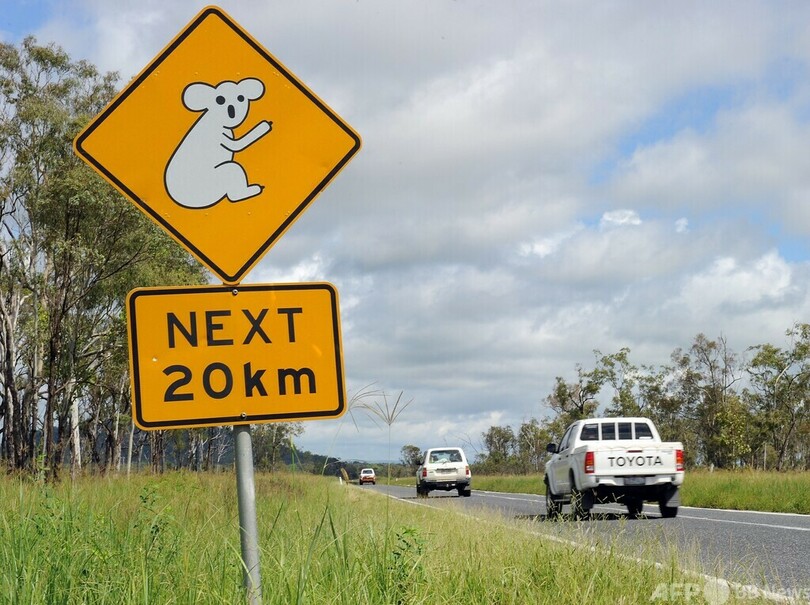 豪採鉱大手、セシウム入り容器紛失 急性放射線障害招く恐れも