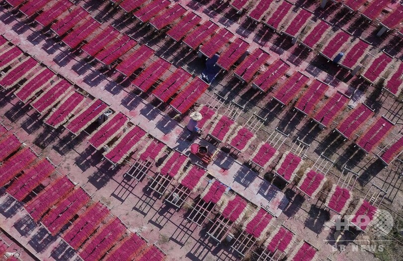 線香づくりは「繊細なアート」 旧正月控え産地は大忙し 中国