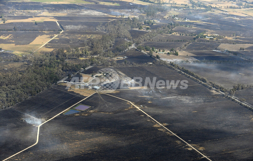 オーストラリアの山火事、死者166人に 新たな出火の懸念高まる