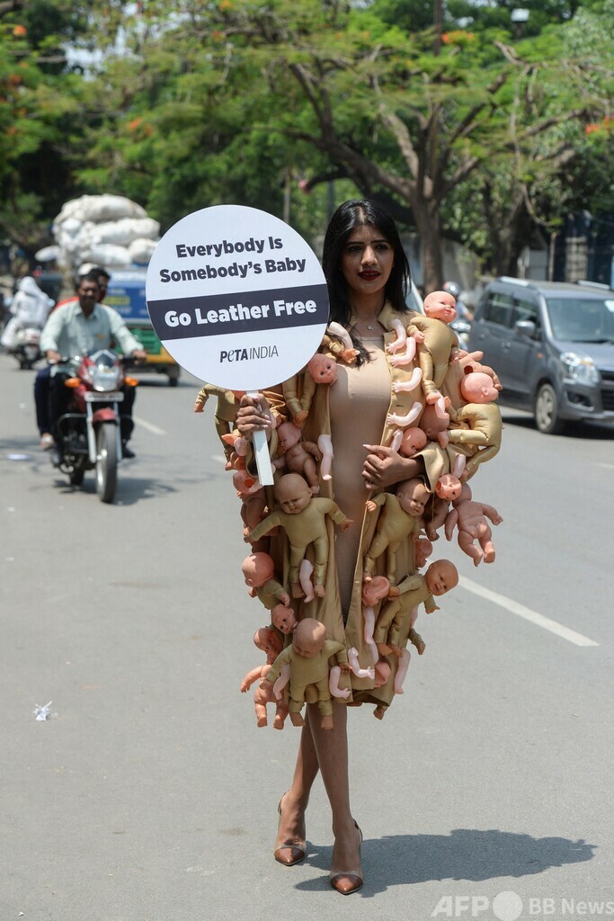 動物愛護団体、「皮革の不使用」呼び掛け インド