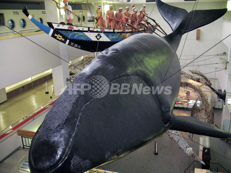 太地町伝統のイルカ漁、告発映画「The Cove」で国際批判高まる