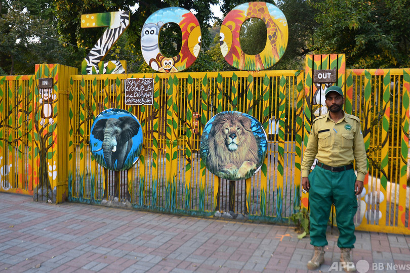 「世界一孤独なゾウ」が去った動物園、大改装に着手 パキスタン