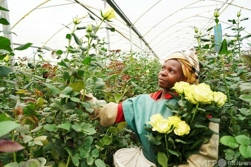 貿易の円滑化、中国とアフリカの経済貿易協力ネットワークを集結させる