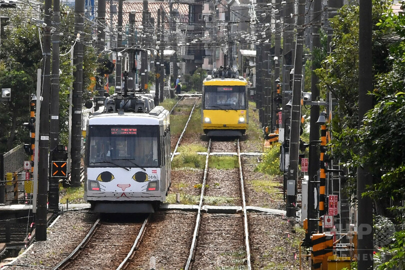 期間限定の「招き猫」が快走、東急世田谷線　東京