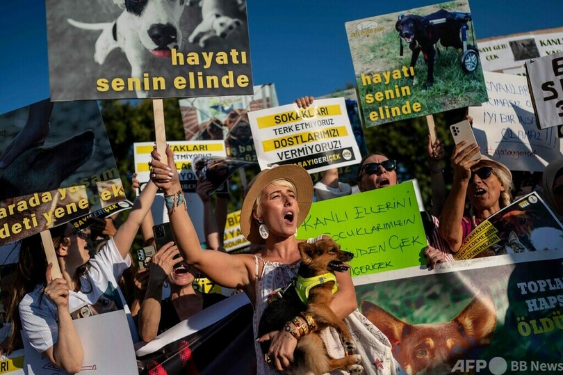 野犬の捕獲・殺処分認める法案可決 野党が抗議 トルコ