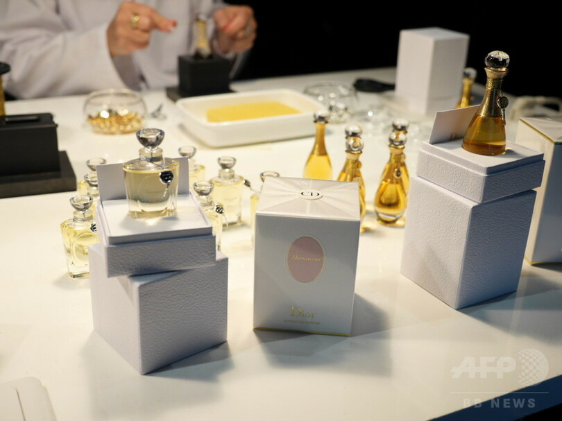 ディオールのエスプリを過去現在未来で体現、1月4日まで