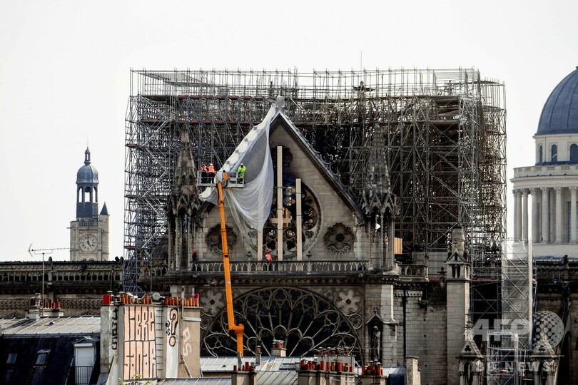 ノートルダム大聖堂のミツバチ、大火災を生き延びる