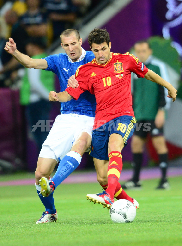 【写真特集】サッカー欧州選手権決勝、スペイン対イタリア