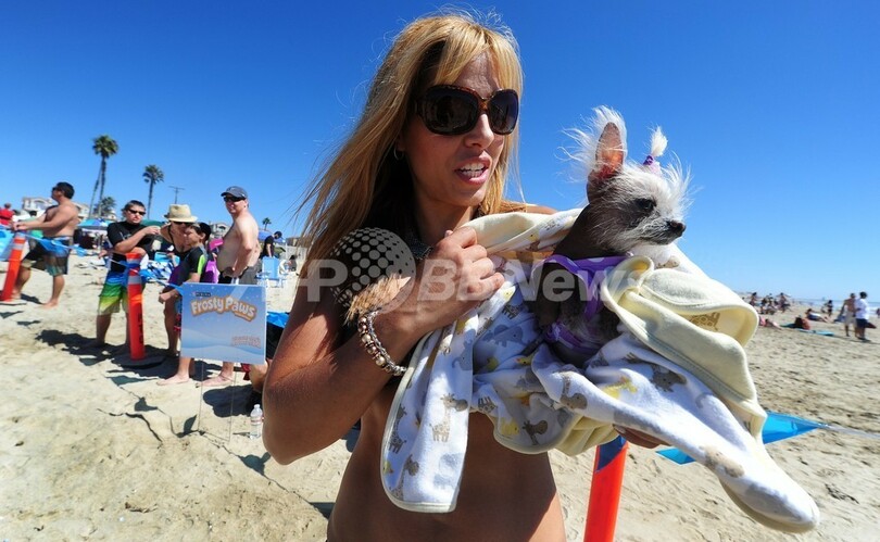 ワンちゃん達が見せる華麗な波さばき、米国で犬のサーフィン大会