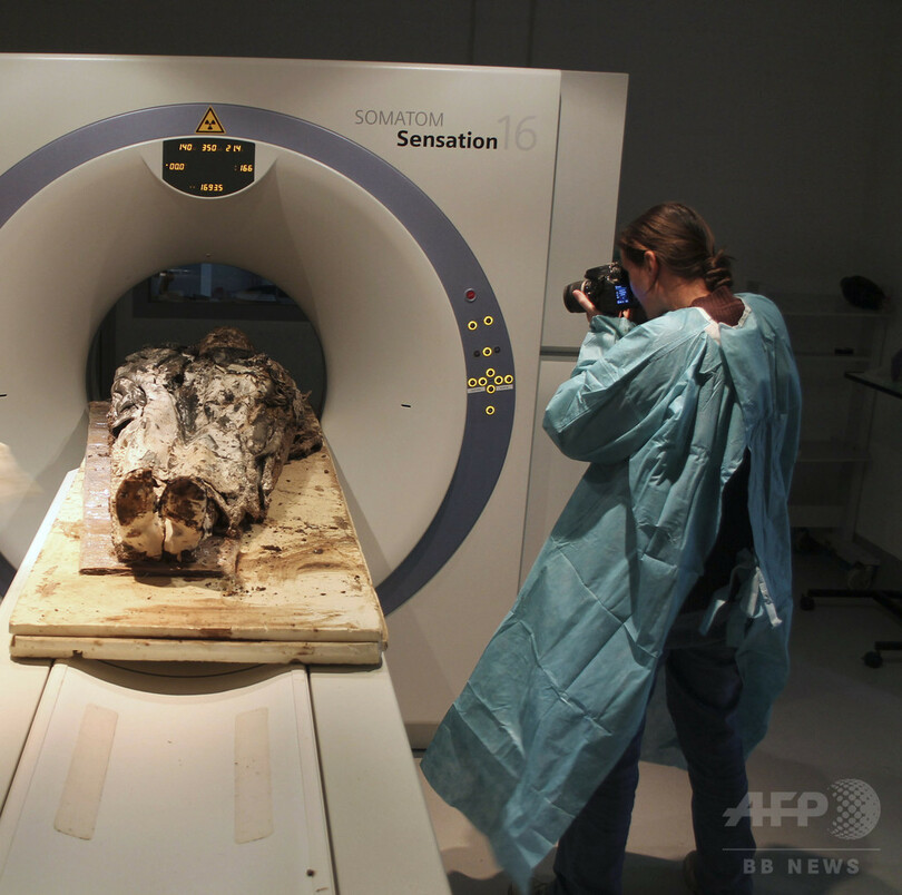 仏17世紀貴婦人の遺体発掘か、衣類も完全に残存
