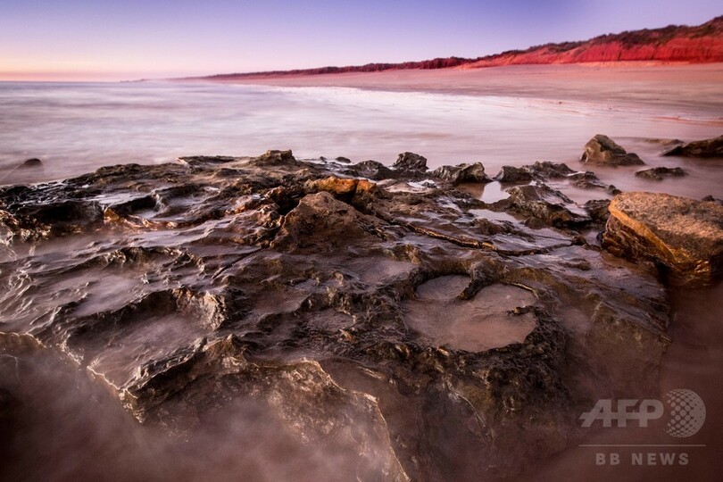 恐竜21種の足跡発見、「前代未聞」の規模 豪西部