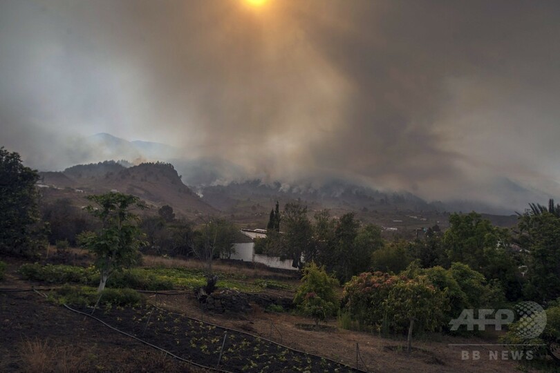 カナリア諸島で山火事、1人死亡 森で用を足したドイツ人逮捕