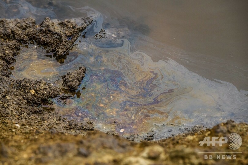 アザラシもキャビアも消える…カスピ海を襲う開発汚染と気候変動